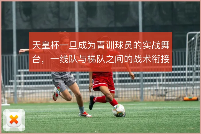 天皇杯一旦成为青训球员的实战舞台，一线队与梯队之间的战术衔接怎么解